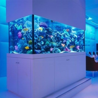 Zakarpatska1 Fish tank customized