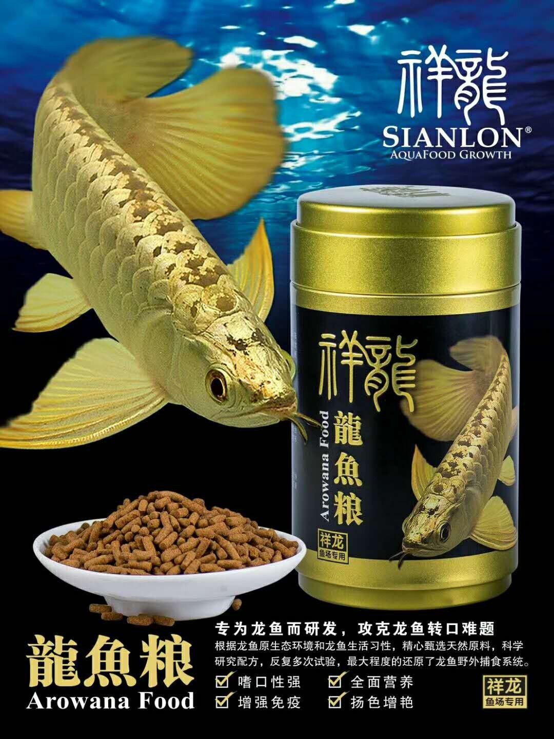 Zakarpatska1 Golden dragon fish food