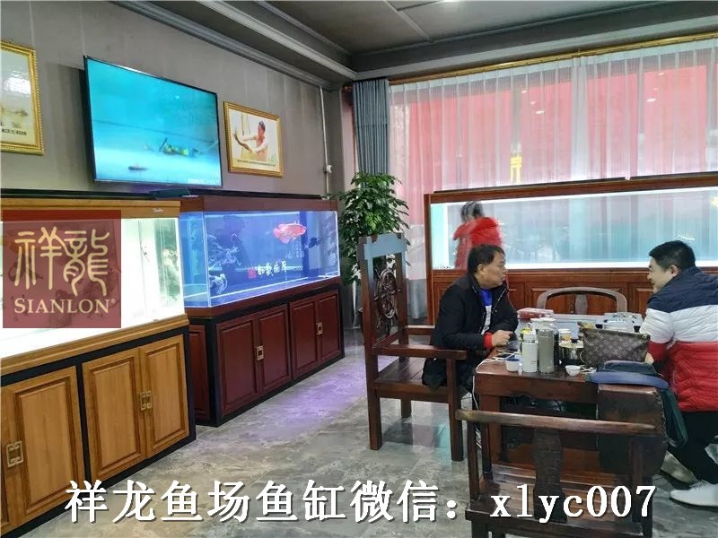 Zakarpatska1 Xianglong home decoration Aquarium