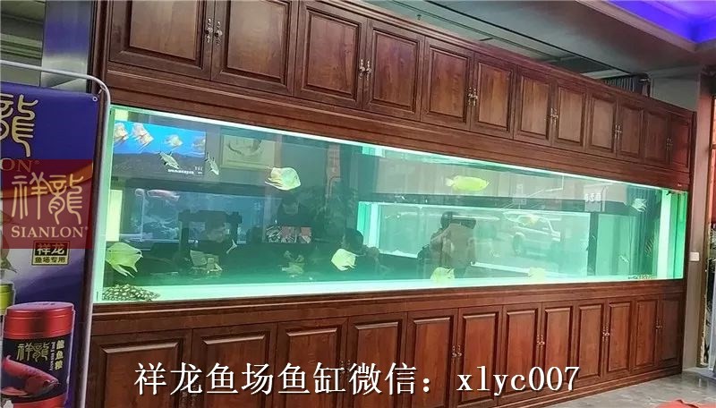 Zakarpatska1 Large aquarium customized 6M